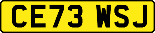 CE73WSJ
