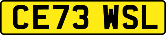 CE73WSL