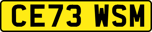 CE73WSM