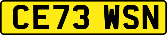 CE73WSN