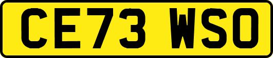 CE73WSO
