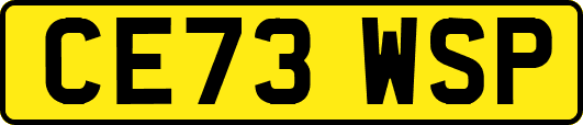 CE73WSP