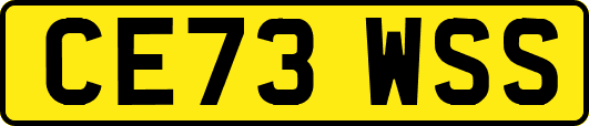CE73WSS