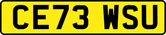 CE73WSU