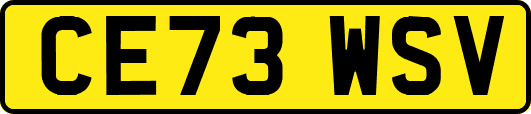 CE73WSV