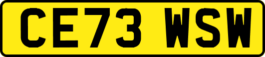 CE73WSW
