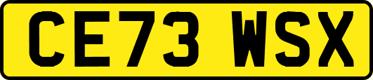 CE73WSX