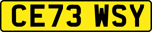 CE73WSY