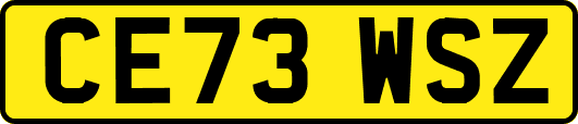 CE73WSZ