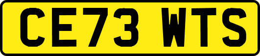 CE73WTS