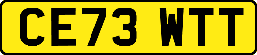CE73WTT