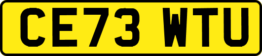 CE73WTU