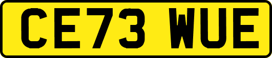 CE73WUE