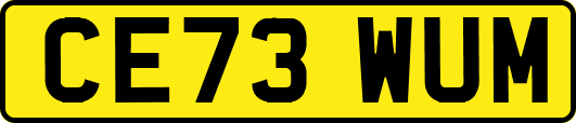 CE73WUM
