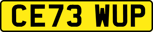 CE73WUP