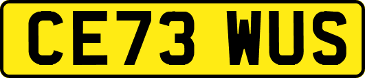 CE73WUS