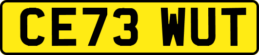 CE73WUT
