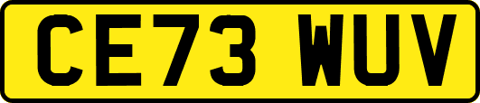 CE73WUV