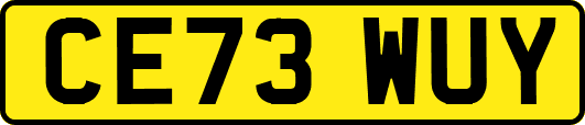 CE73WUY