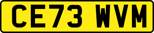 CE73WVM