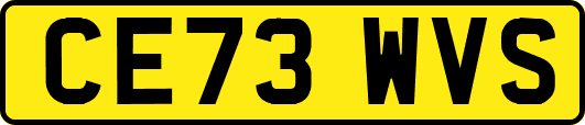 CE73WVS