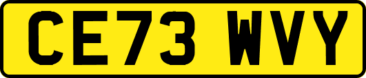 CE73WVY
