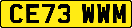 CE73WWM