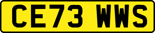 CE73WWS