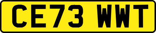 CE73WWT