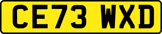 CE73WXD