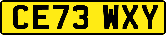 CE73WXY