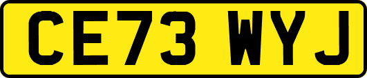 CE73WYJ
