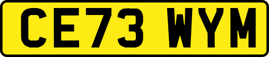 CE73WYM