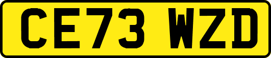 CE73WZD