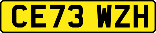 CE73WZH