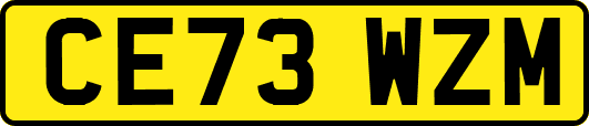 CE73WZM