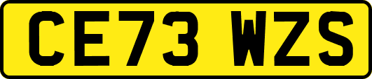 CE73WZS