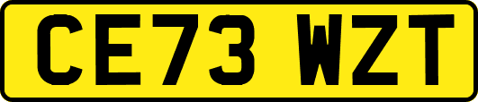 CE73WZT