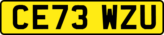CE73WZU