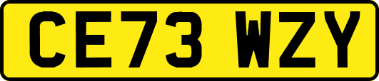 CE73WZY