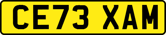 CE73XAM