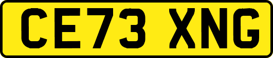 CE73XNG