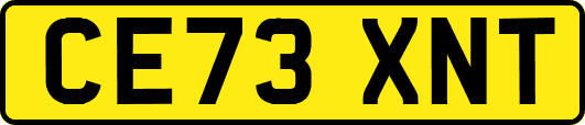 CE73XNT