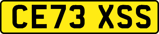 CE73XSS