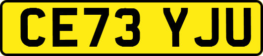 CE73YJU