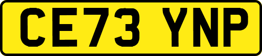 CE73YNP