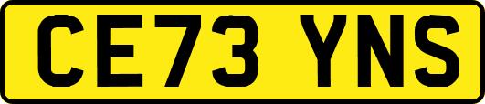 CE73YNS