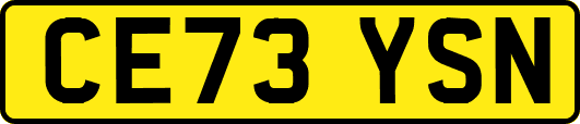 CE73YSN