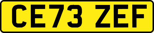 CE73ZEF