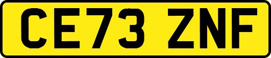 CE73ZNF